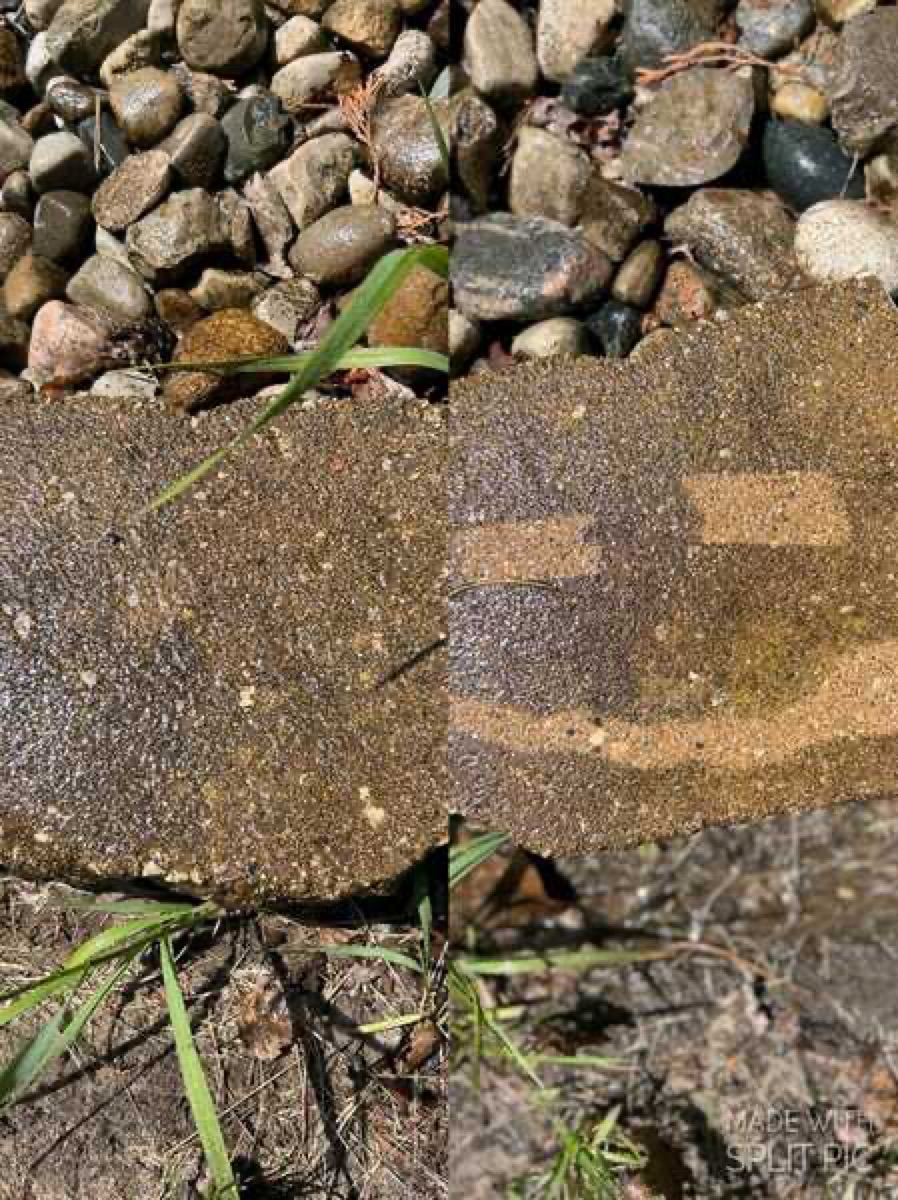 Paver walkway — before and after